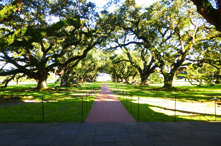 oak alley mississippi