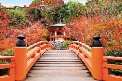 Japanese autumn fall. Kyoto Daigoji temple