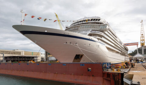 Viking Vela